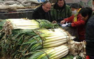 農(nóng)產(chǎn)品“綠色通道”廣受歡迎，助力鄉(xiāng)村振興與民生保障