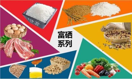 大健康時(shí)代浪潮下，大連吉祥緣農(nóng)業(yè)科技富鋅硒產(chǎn)業(yè)異軍突起