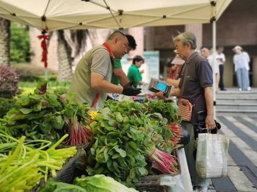 高溫天，這個市集把平價菜、優質農產品送到居民家門口 鮮活水產品受熱捧